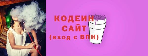 шишки Белоозёрский