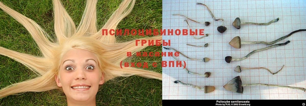 a pvp Богородицк